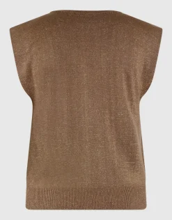 Glitter V-Neck Top Bruin