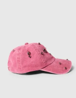 Strass Pet Roze