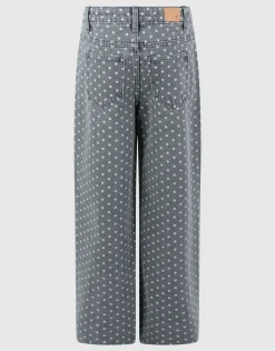 Wide Leg Fit Dot Jeans Grijs